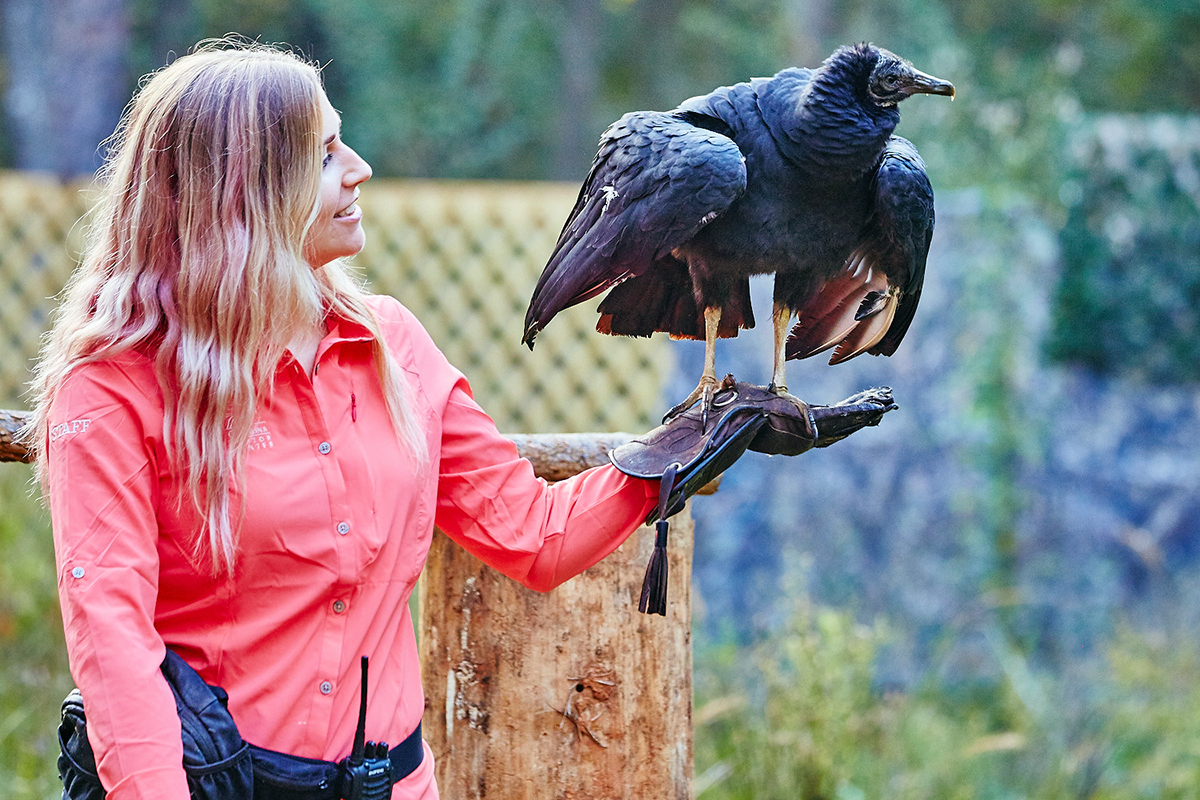 Carolina Raptor Center