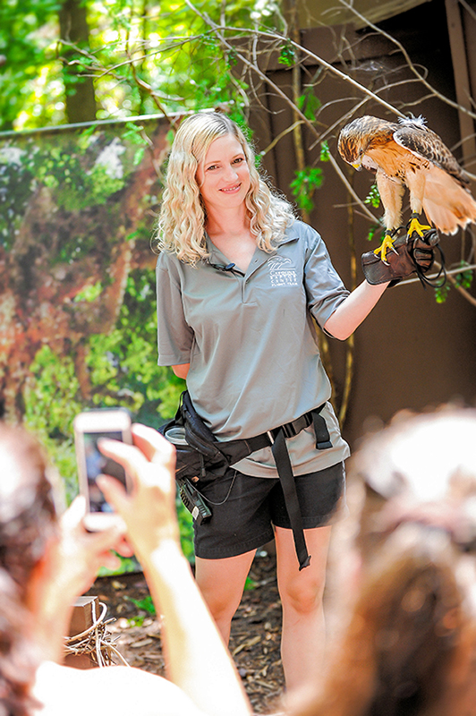 Carolina Raptor Center