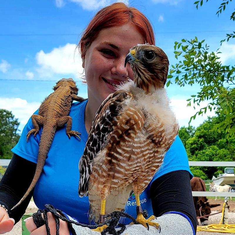 lady holding a hawk and a lizard